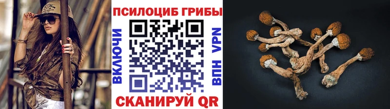 Псилоцибиновые грибы GOLDEN TEACHER  Новомосковск 